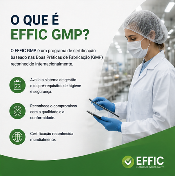 EFFCI GMP